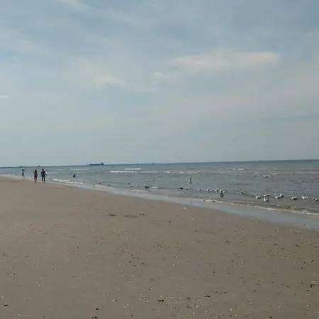 בית נופש Sfeervolle Bungalow 5 Minuten Lopen Van Het Strand